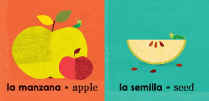 Grande y pequeño / Big and Small | Barefoot Books