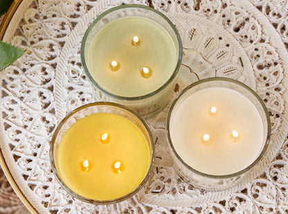Honeycomb 12 oz Candles | Root Candles