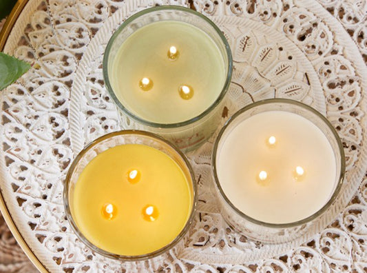 Honeycomb 12 oz Candles | Root Candles