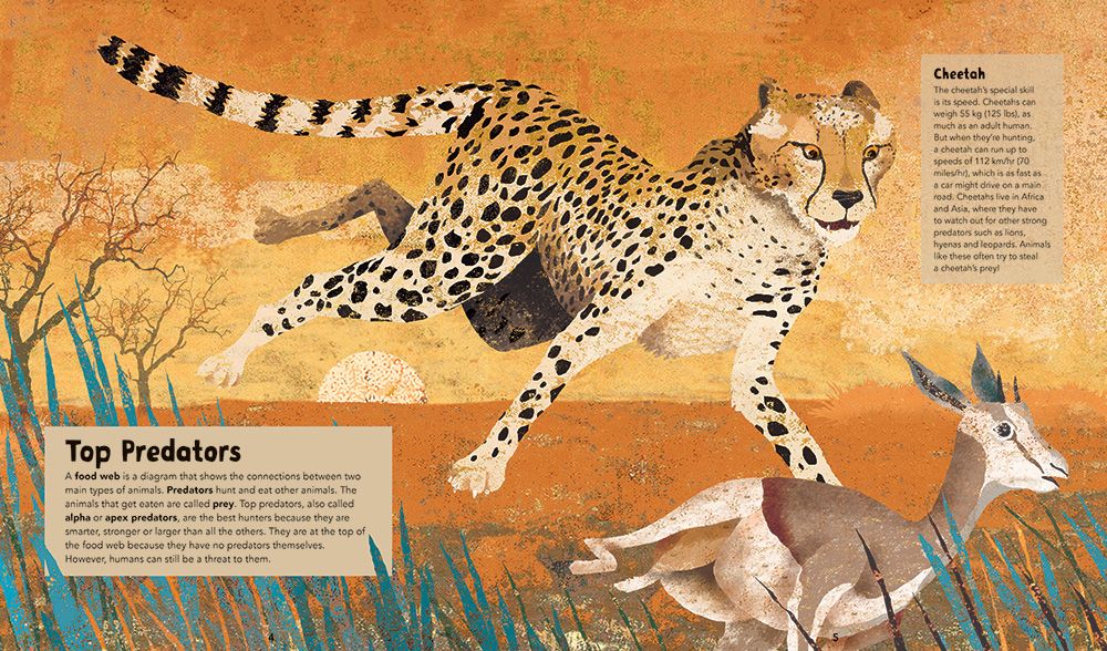 Incredible Animals | Barefoot Books