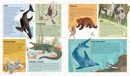 Incredible Animals | Barefoot Books