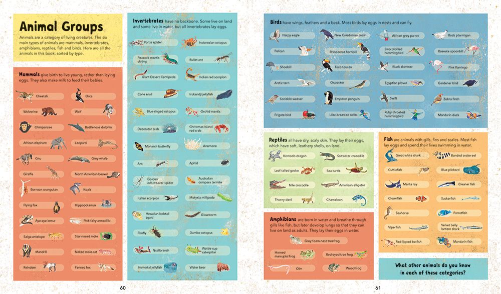 Incredible Animals | Barefoot Books