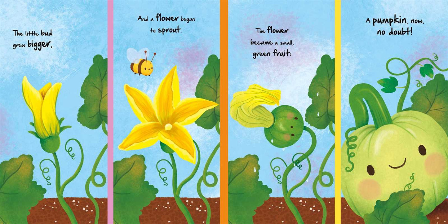 Nature Stories: Little Pumpkin-Discover an Amazing Story from the Natural World | IglooBooks