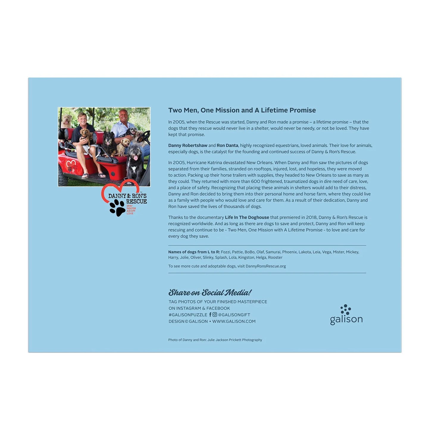 Rescue Dogs Puzzle (1000 pc) | Galison