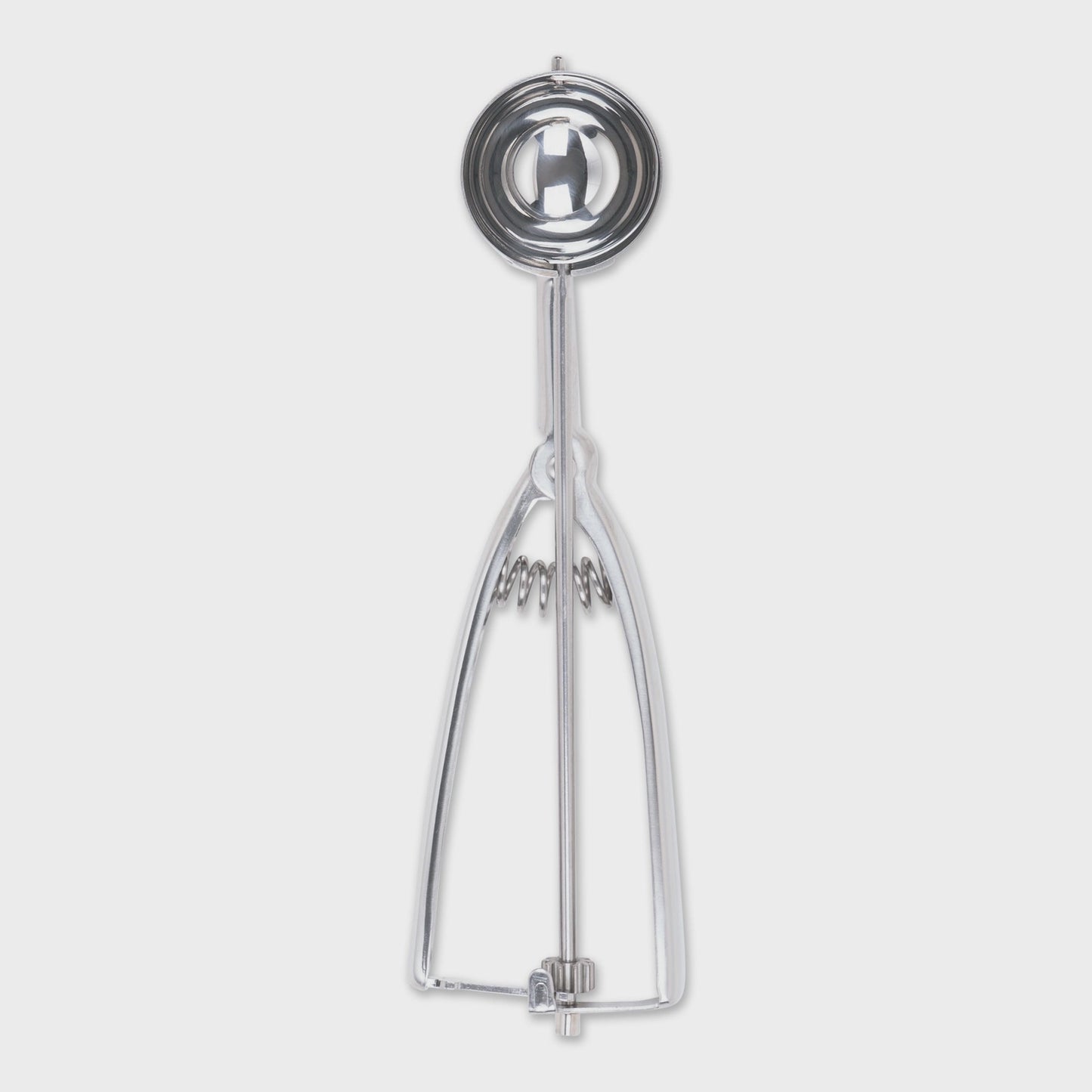 #40 Spring Scoop | RSVP