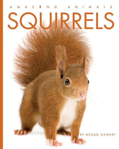 Squirrels | Ashley Gish