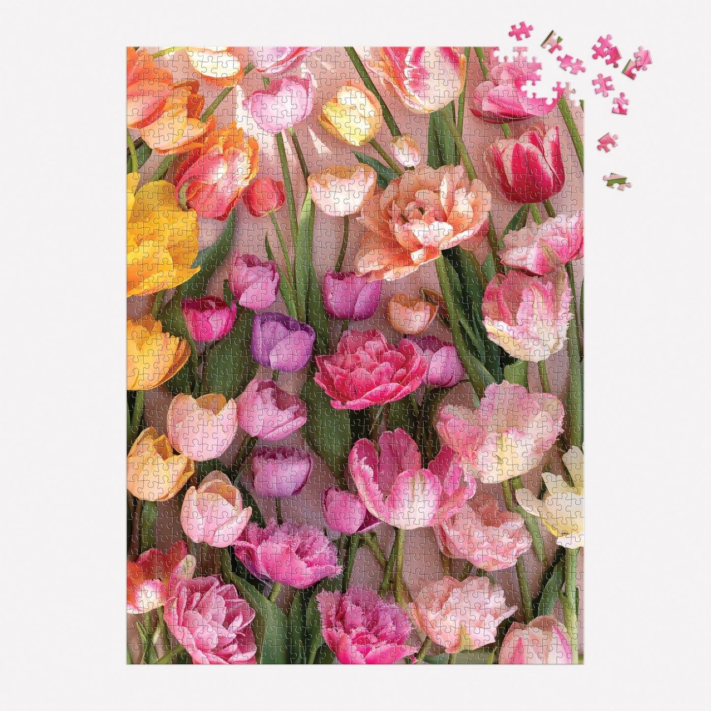 Ephemoral Tulips 1000 pc Puzzle | Galison