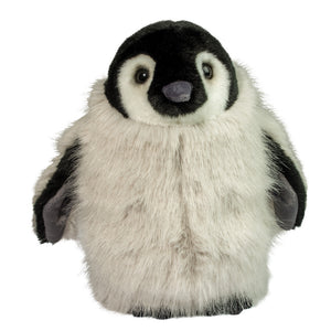 Powder Penguin Chick | Douglas Toys